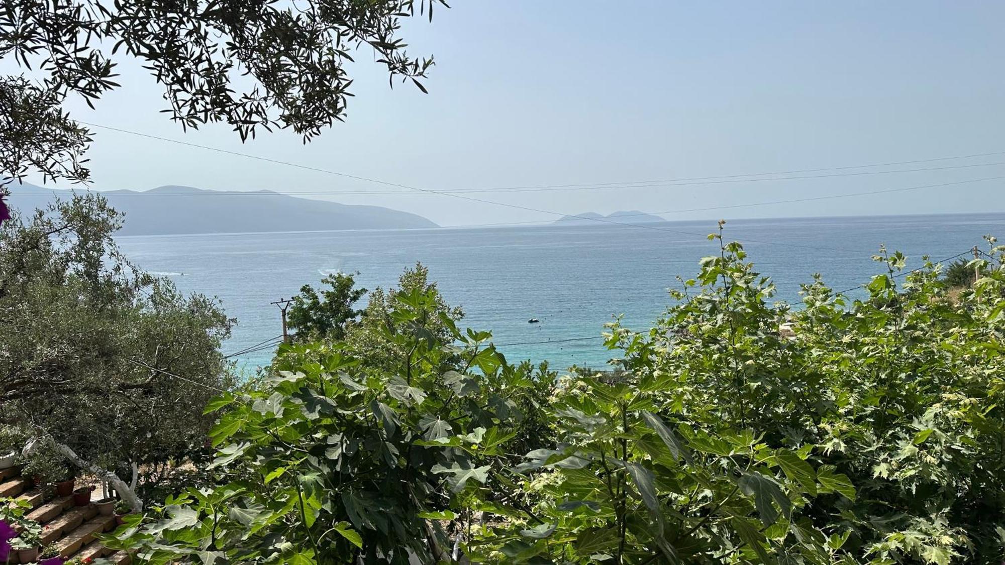 Firauni * Vlore
